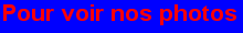 nosphotos.gif (1748 octets)